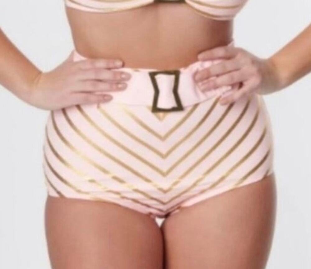 Unique Vintage Pink And Gold Chevron High Waist Bikini Bottom M NWOT